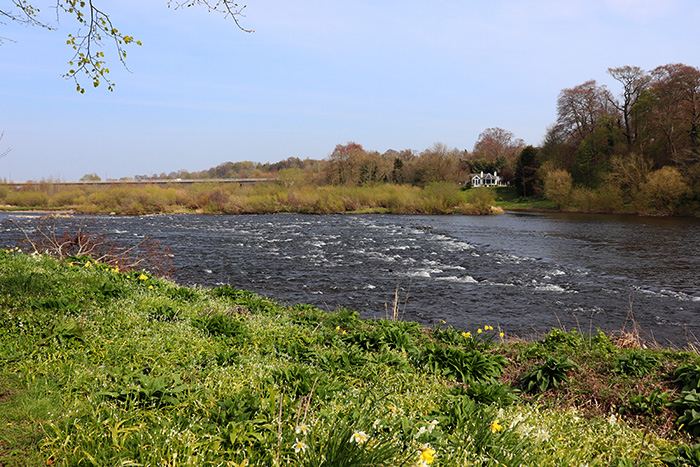 The River Tweed